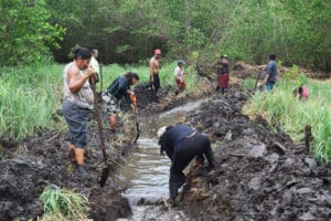 Fotografía de jornada de desazolve en Metalío como parte de las acciones de restauración de ecosistemas